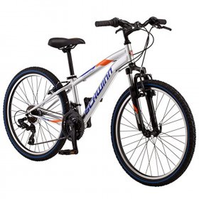 Schwinn High Timber bike-Color:Silver,Size:24",Style:Boy's ATB