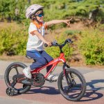 Royalbaby Moon5 14 Inch Kids Bike Red