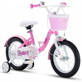 RoyalBaby Chipmunk Girls Kids Bike bike with Basket Training Wheels Kickstand 16 Inch Lollipop Pink